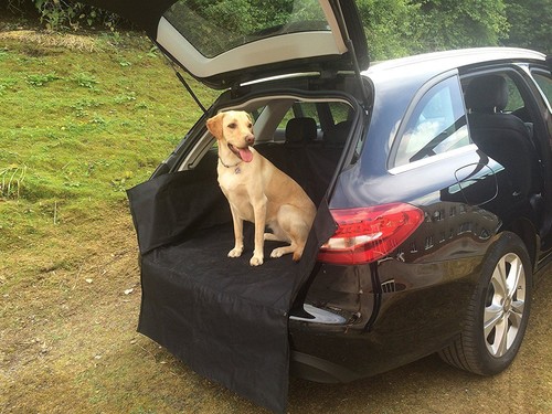 Water resistant car boot liner - water,